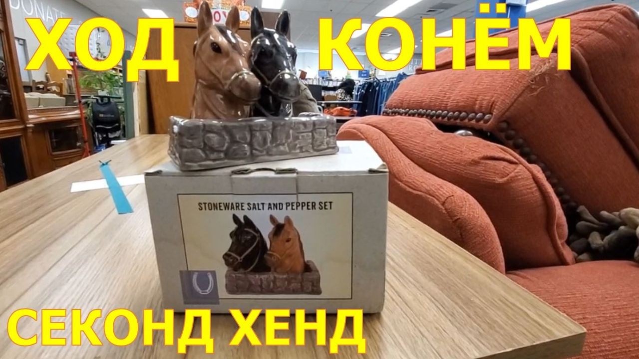 Интересные находки в магазине секонд хенд Гудвил, США.