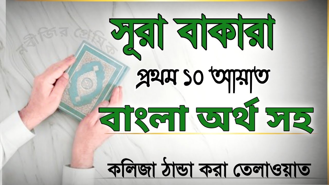সূরা বাকারার প্রথম ১০ আয়াত | হৃদয় ছুঁয়ে যাওয়া কুরআনের তেলাওয়াত ও অর্থ | Surah Baqarah 1-10 Tilawat