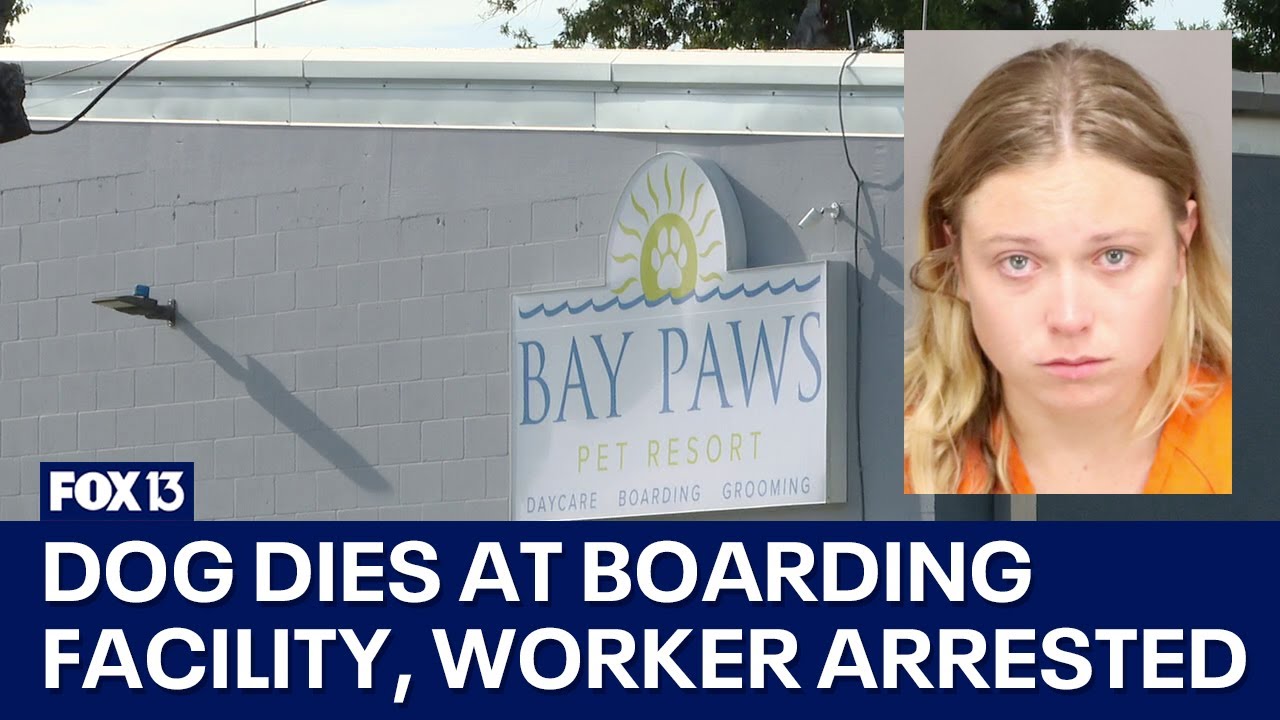 Pet resort worker arrested after dog dies