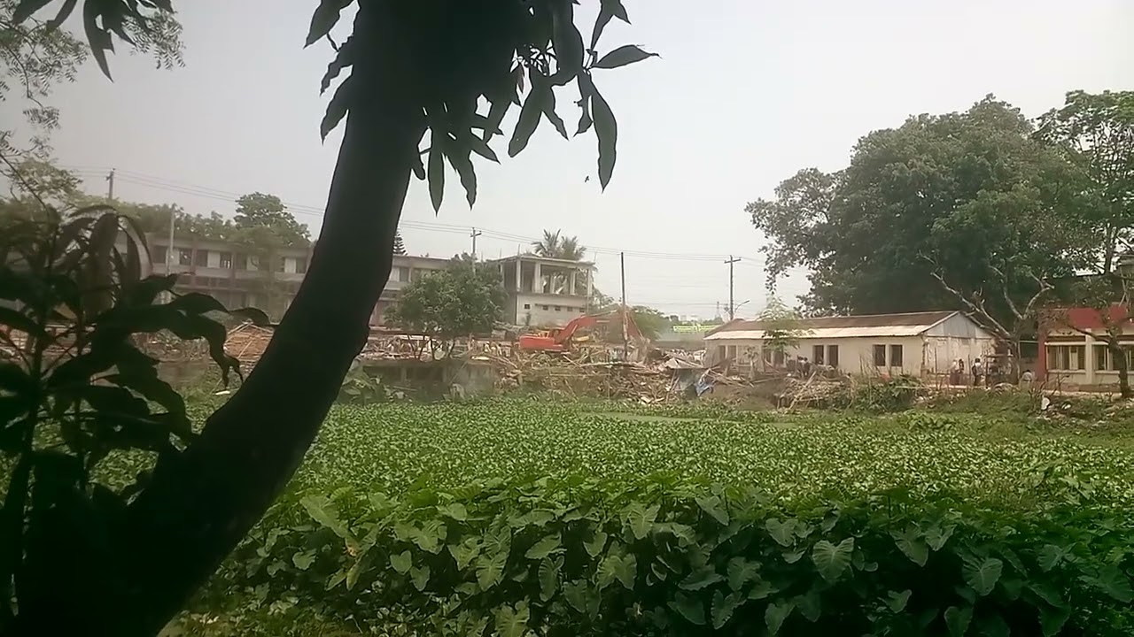 Government Removal of Illegal Structures | Mon | May 05 | 2025 | 12:49 pm