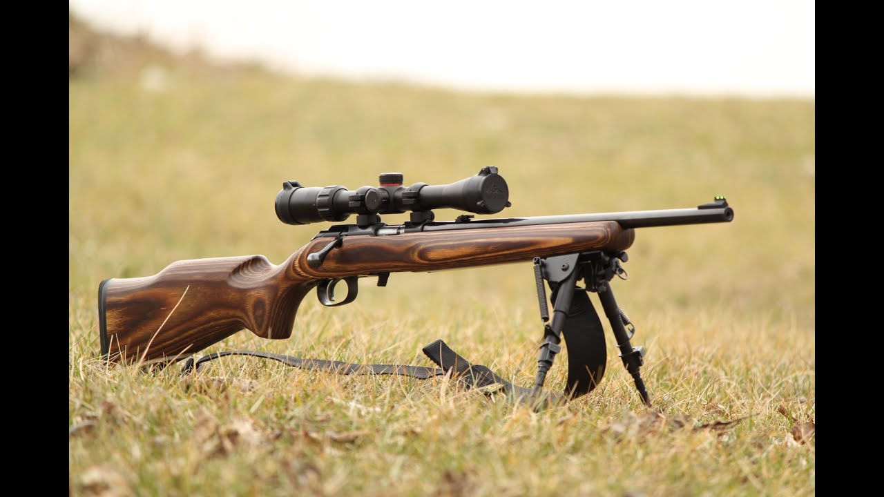 22 short accuracy in Ruger American Rimfire