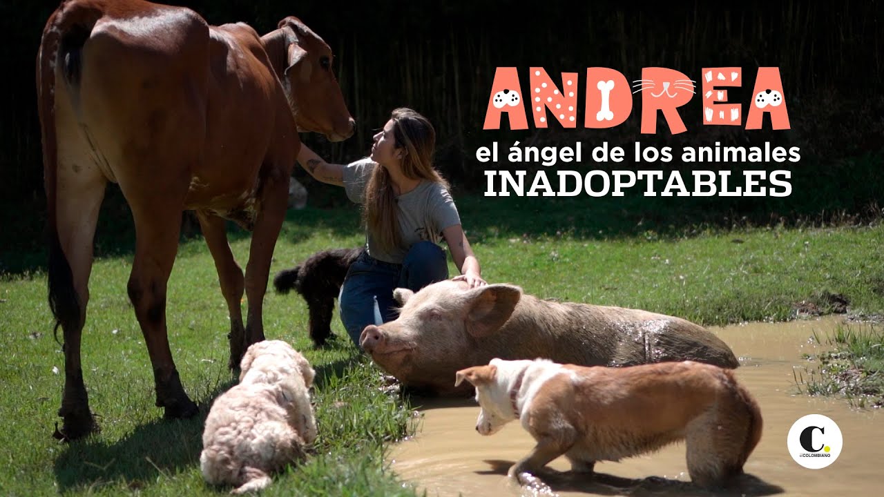 Andrea, el &aacute;ngel de los animales inadoptables | El Colombiano