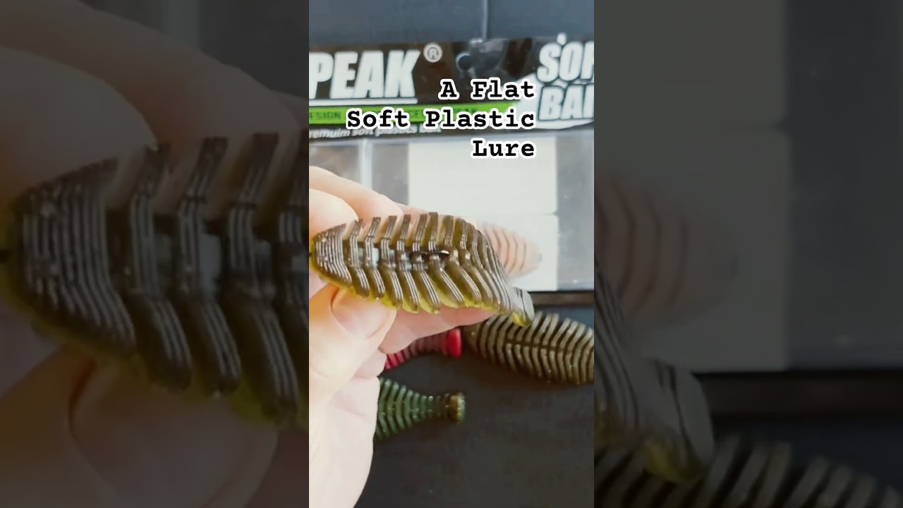 Плоская мягкая пластиковая приманка.