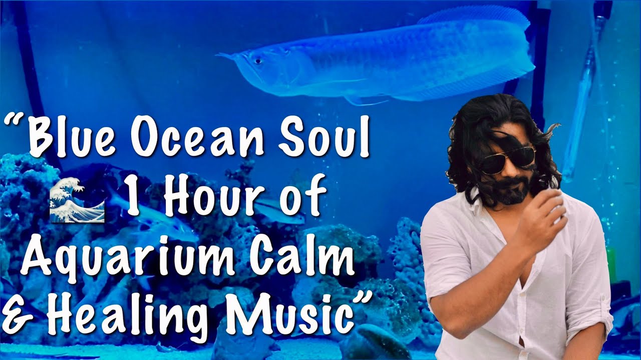 “Blue Ocean Soul 🌊 1 Hour of Aquarium Calm & Healing Music” #trending #ocean #vibes #fishtherapy  