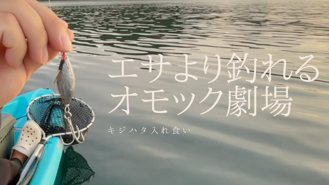 エサより釣れる！自作したオモックでキジハタ爆釣【カヤックフィッシング】