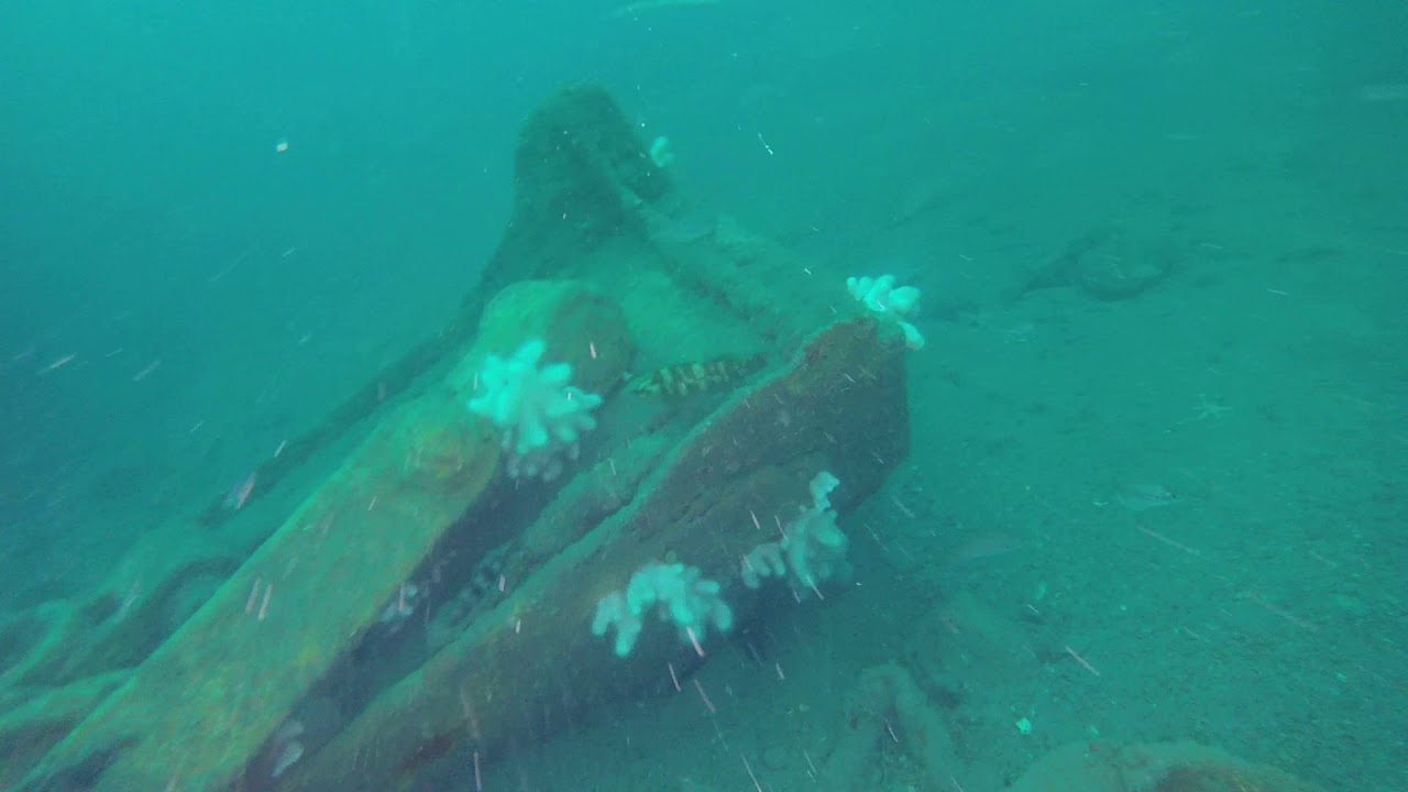 Diving the St. Dunstan, Lyme Bay 23-05-18
