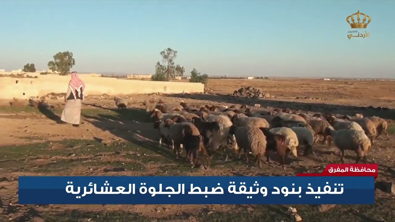 تنفيذ بنود وثيقة ضبط الجلوة العشائرية