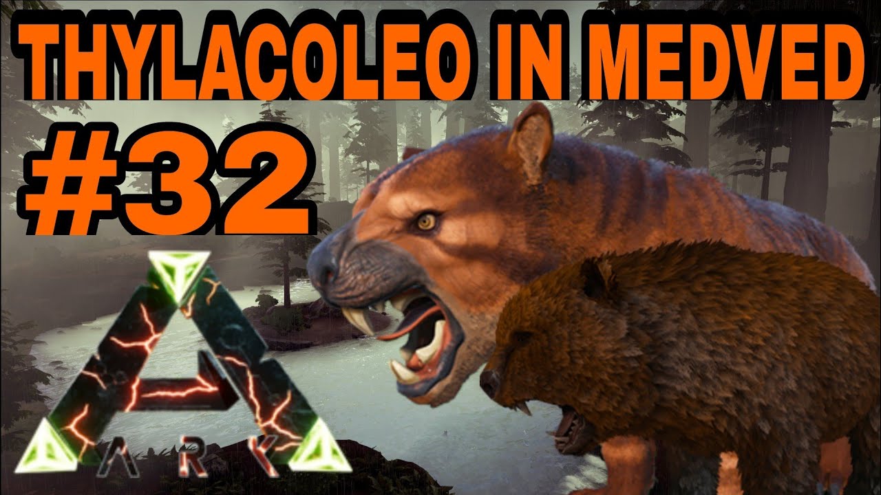 Udomačil Thylacoleo in medveda / #32 ARK [SLO]