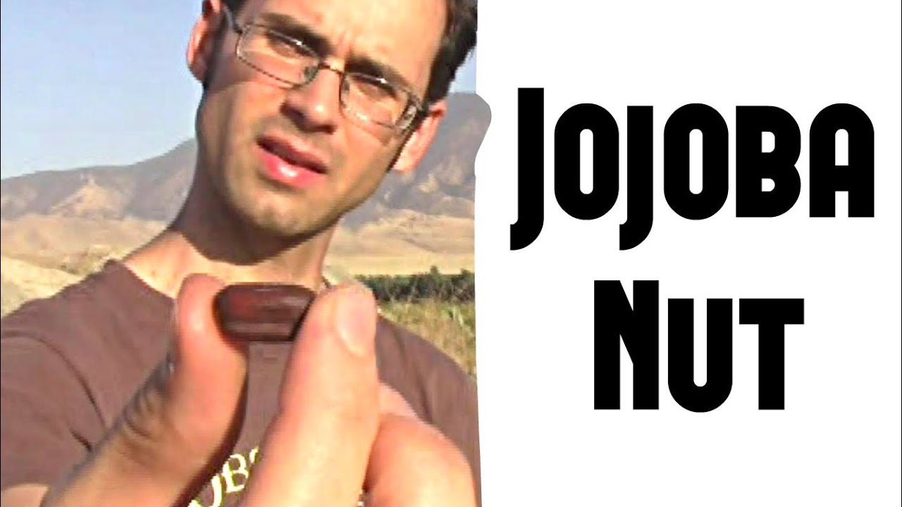 Jojoba Nut Review - Weird Fruit Explorer Ep 257