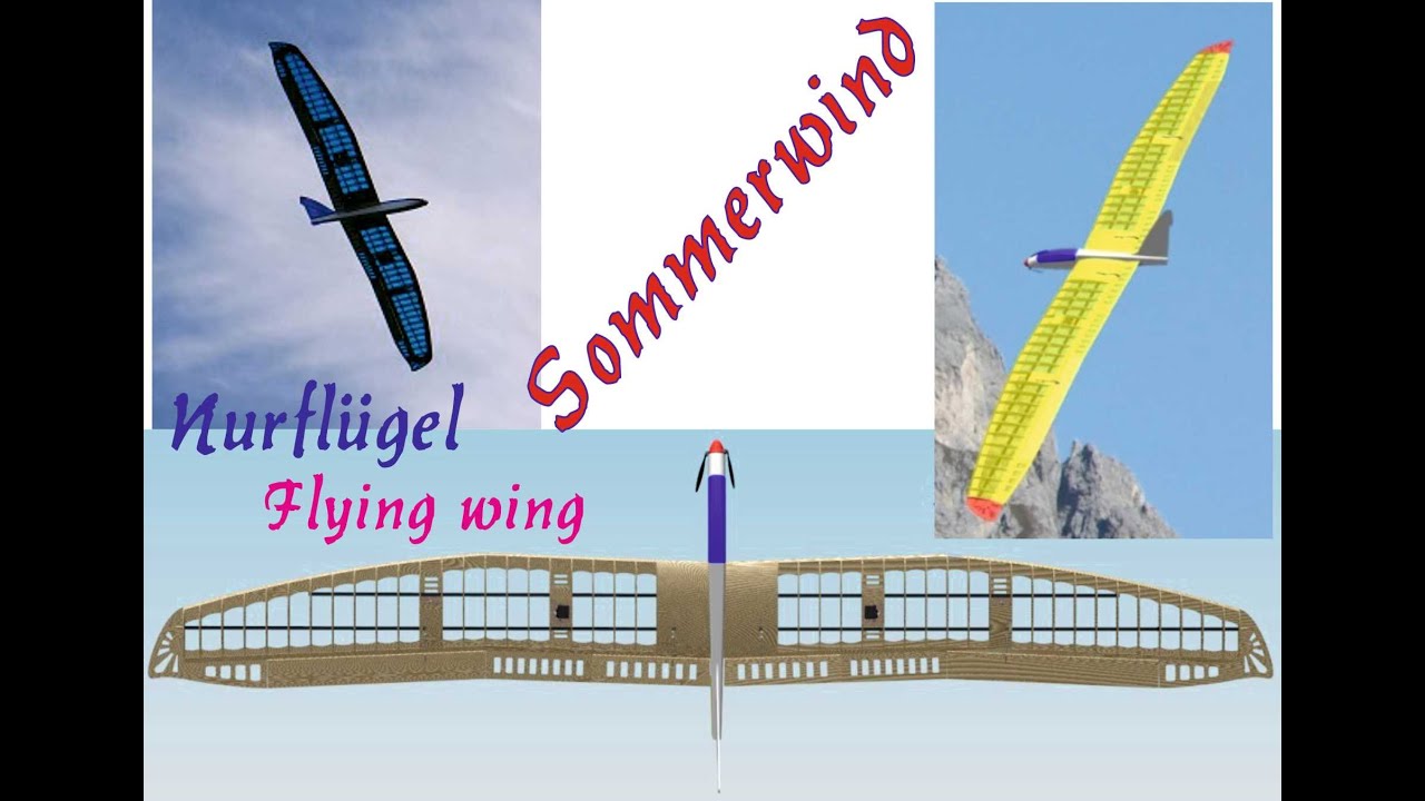 Sommerwind - Nurflügel von Robert Schweißgut