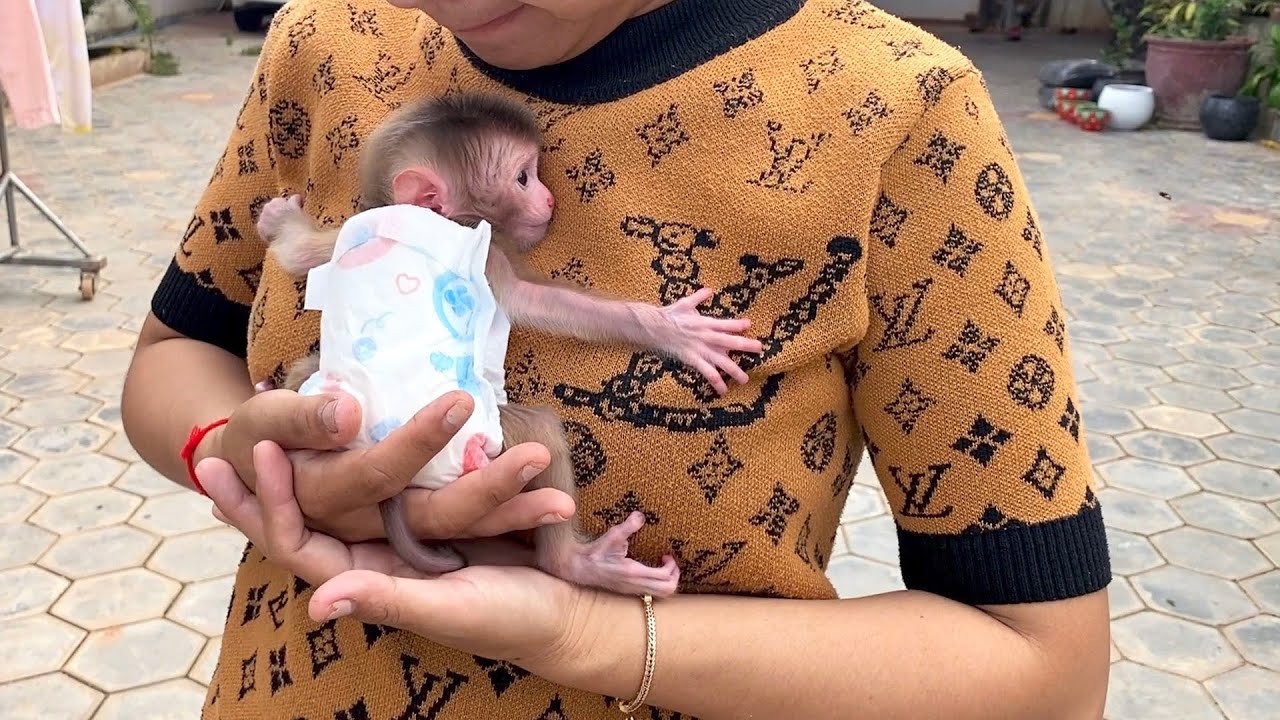 Morning Routine For The World Tiniest Creature