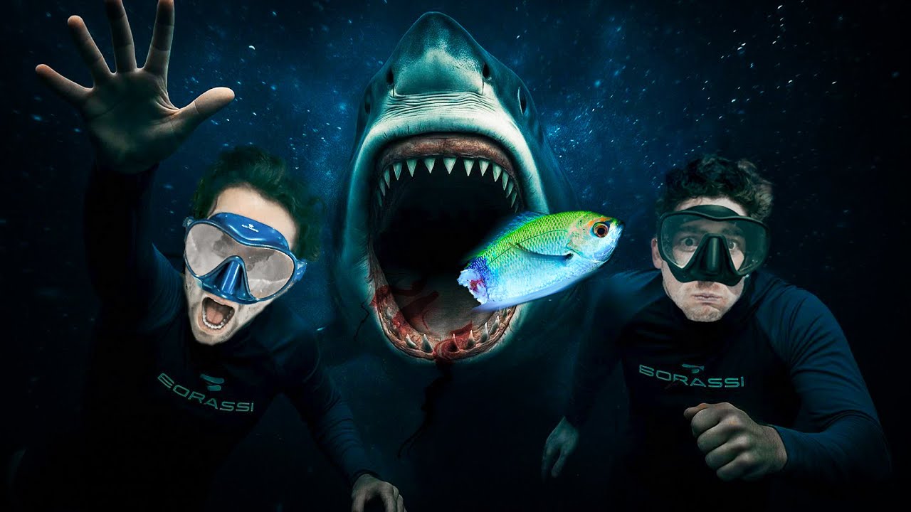 ATAQUE DE TIBURON EN LA NOCHE🩸🦈 ¡Así Cazan en la Oscuridad! |📍Raja Ampat, Indonesia 🇮🇩
