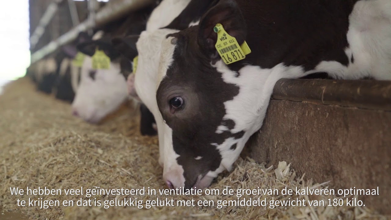 Agroscoopbokaalwinnaar 2018 Vleesvee: Familie Pasman