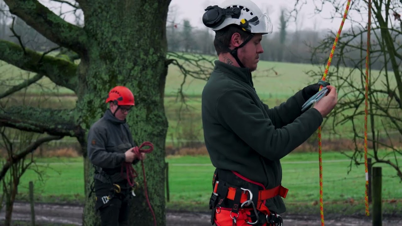 Tree Climbing at Scott Fraser Training