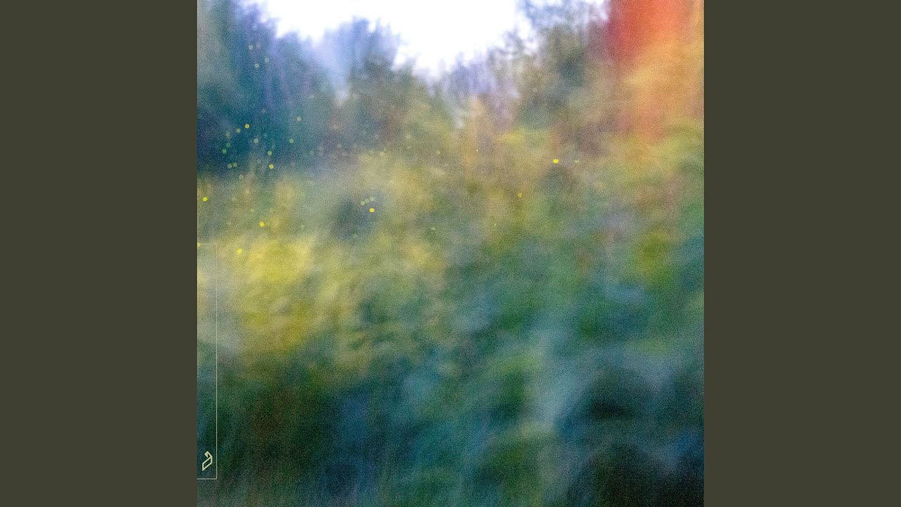fireflies (for as far as we could see)