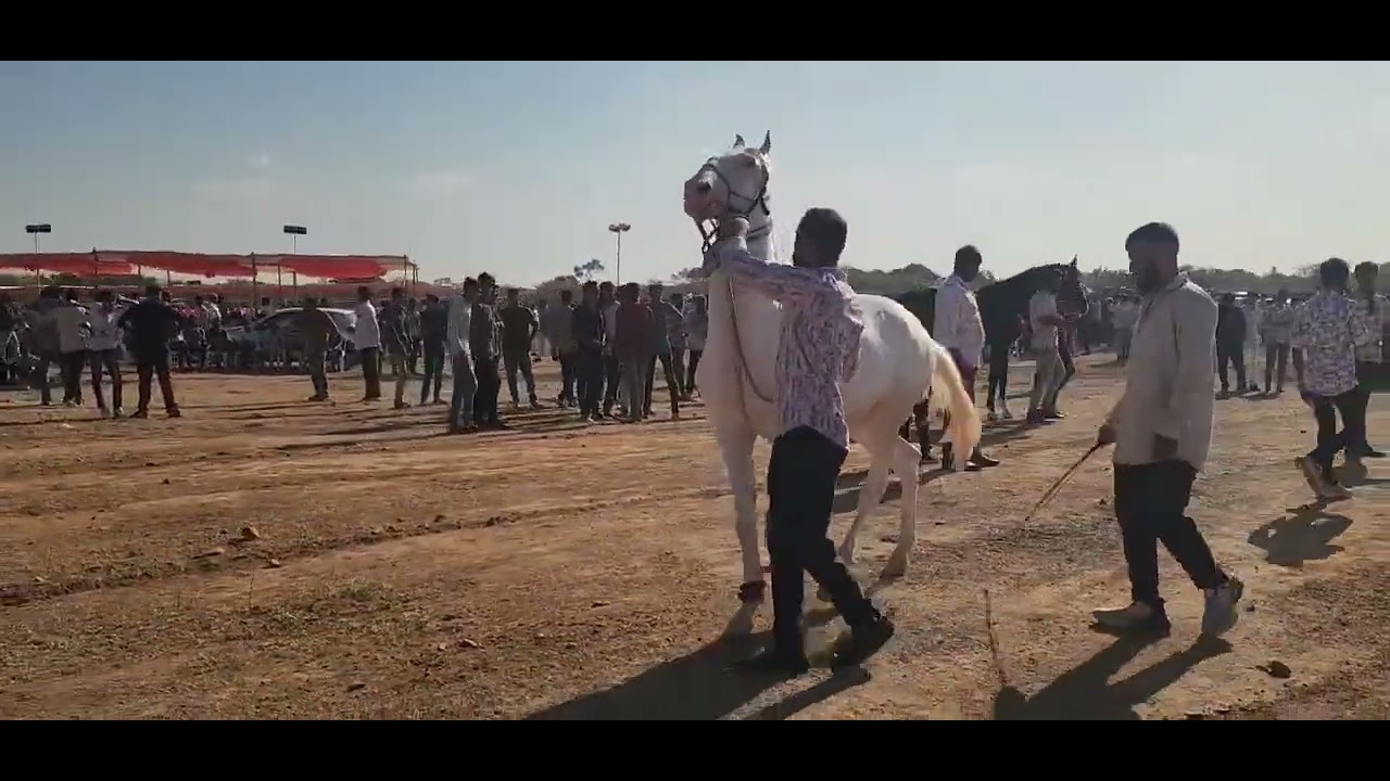 પોલાં પાનાં પ્રોગ્રામ/ નાથા ભગત નૌ મેળૌ 