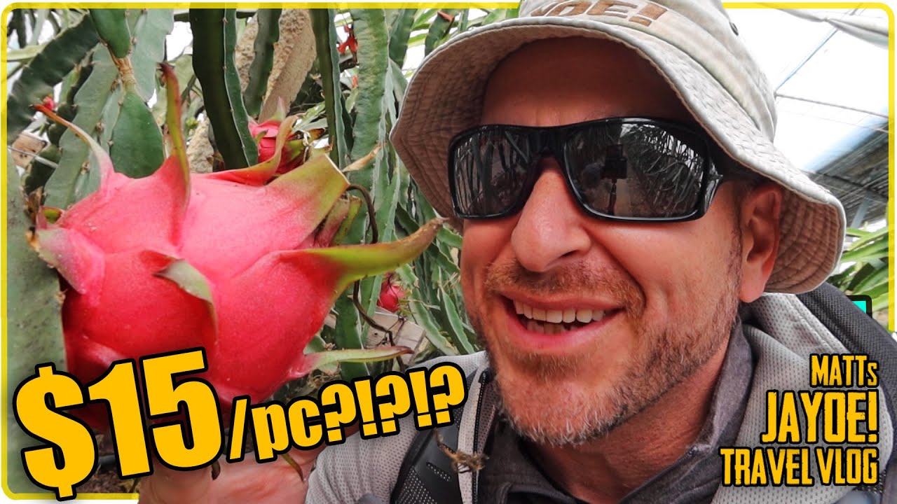 Insanely Expensive Dragon Fruit In Gaoling!!  | China Life VLOG