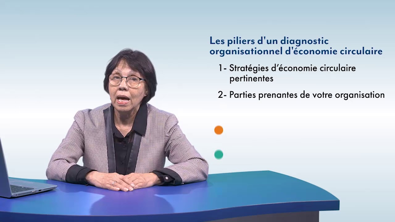 Module 2 - Le diagnostic organisationnel