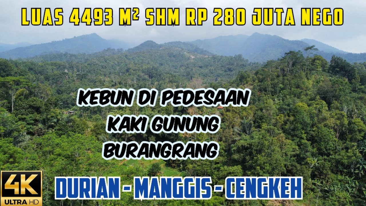Jual Tanah Kebun Cengkeh Durian Manggis Di Dataran Tinggi Kaki Gunung Burangrang Luas 4493 m2 SHM