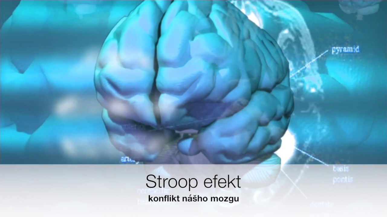 Test mozgu - pozornosť a farby (Ako funguje ľudský mozog)