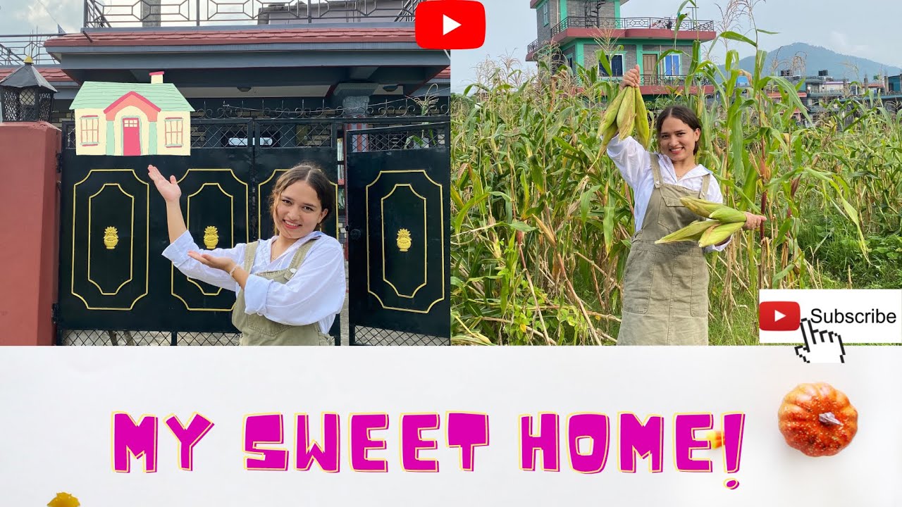 Home Tour 🏠| My sweet home| Happy 15 ashar 🌾|(Samiksha & Sanchita) Vlog 6