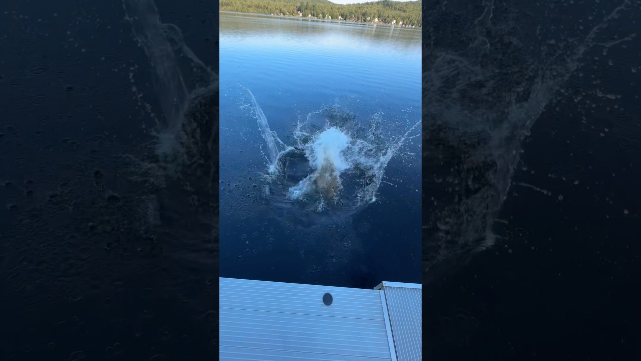 Last Swim of the Summer 