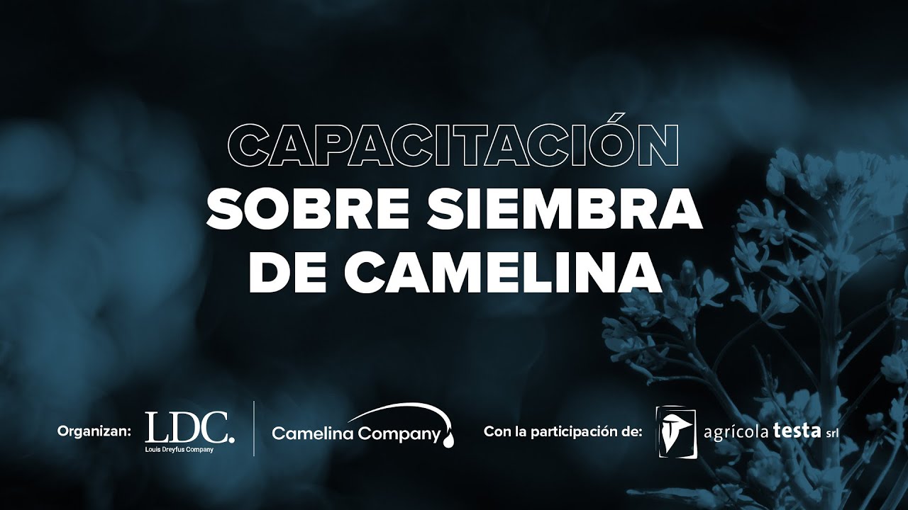 Capacitación sobre siembra de Camelina I LDC
