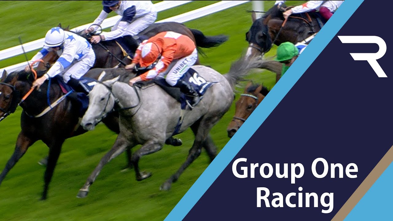 2019 British Champions Sprint Stakes - Racing TV