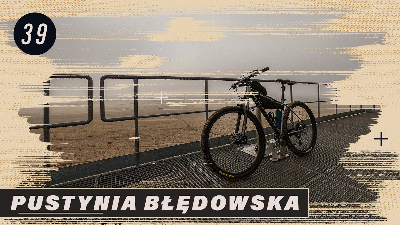 Pustynia Błędowska, Lasy Błędowskie