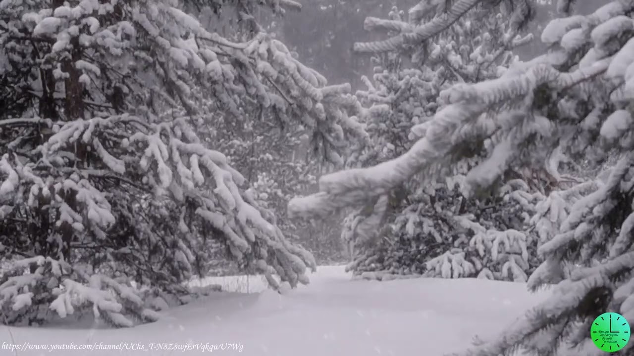 Красивый снегопад  в лесу/Падает снег/Для сна/Звуки природы/Sounds of nature/Relax