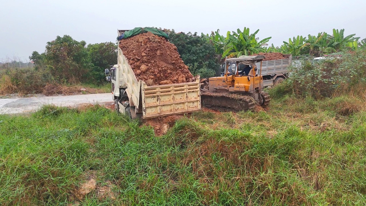 Start New Project Filling Land 20x30 Meter By 5Ton Dump Truck Unloading Dirt And By D31 Dozer Pusher
