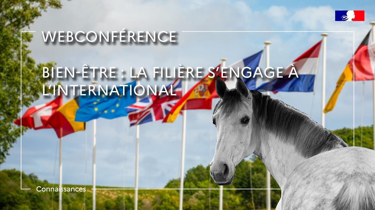 Bien-être : la filière s’engage à l’international - Amandine Julien