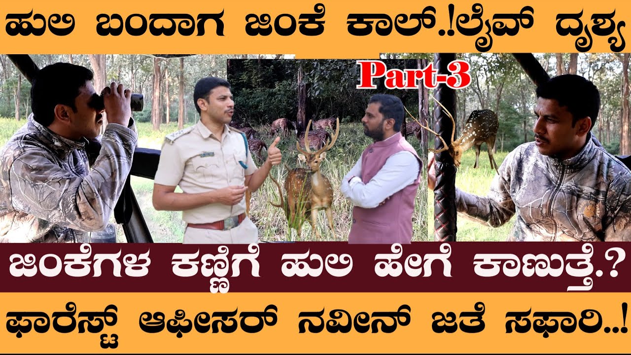 ಹುಲಿ ಬಂದಾಗ ಜಿಂಕೆ ಕಾಲ್‌.!ಲೈವ್‌ ದೃಶ್ಯ ಜಿಂಕೆಗಳ ಕಣ್ಣಿಗೆ ಹುಲಿ ಹೇಗೆ ಕಾಣುತ್ತೆ.? #NaveenRawath #Nagarahole