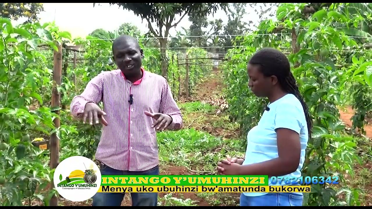 #AHISHAKIYEJEANNE TWINJIRANE MU BUHINZI BWAMATUNDA ZA MILLIYONI ZIRASARURWA