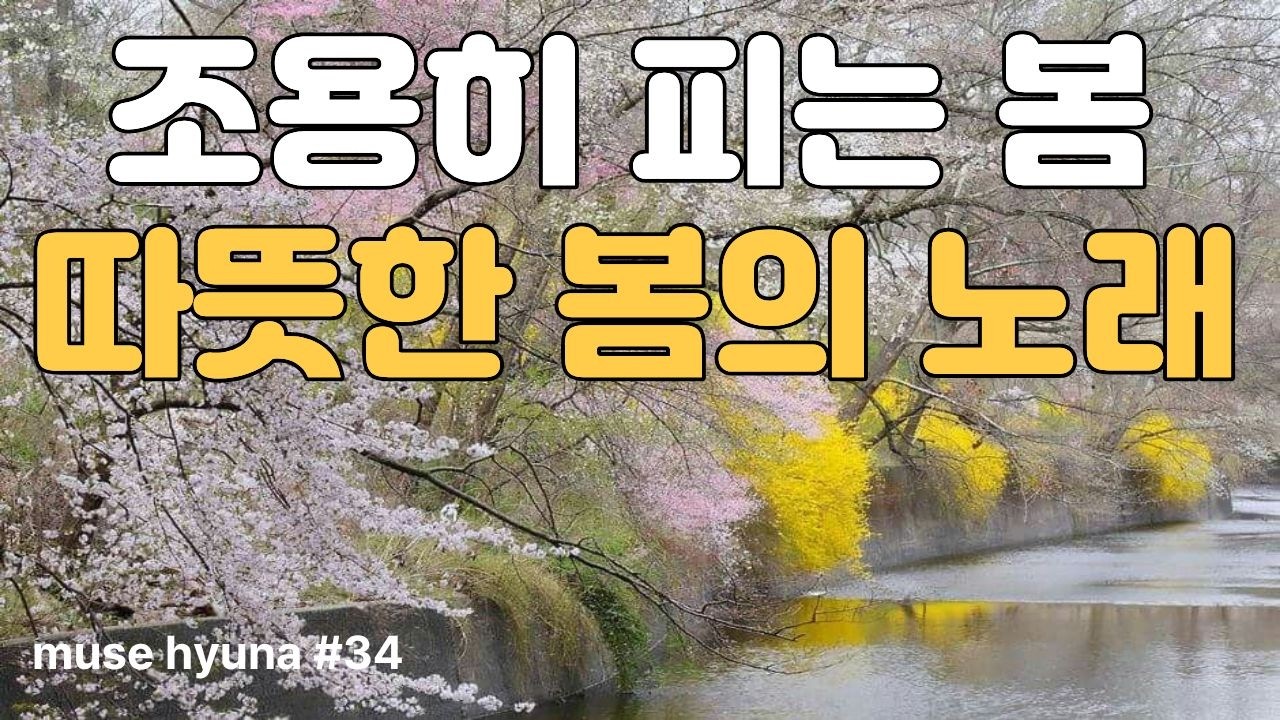 [봄맞이 카페음악] 🌹 따뜻한 봄날의 세레나데 | 낭만적인 크루너 보컬 playlist  #카페음악 #감성음악 #시니어음악