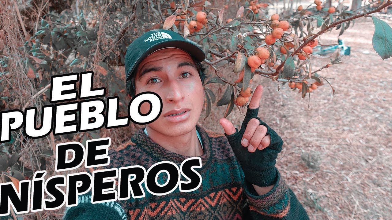 FUI a VISITAR el PUEBLO de NÍSPEROS en el VALLE DEL MANTARO | Matahuasi (Anthonnii Worldwide)