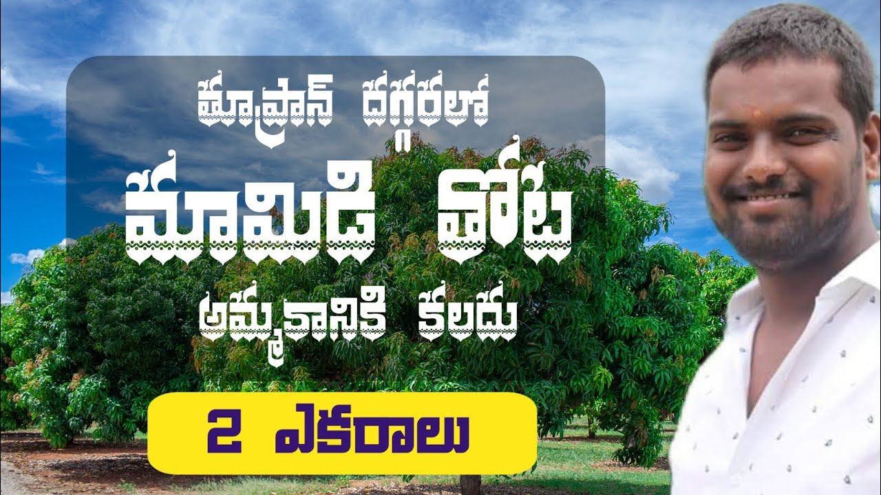 2.10 Acres Mango & Fruits Garden | Thoopran Prime Location