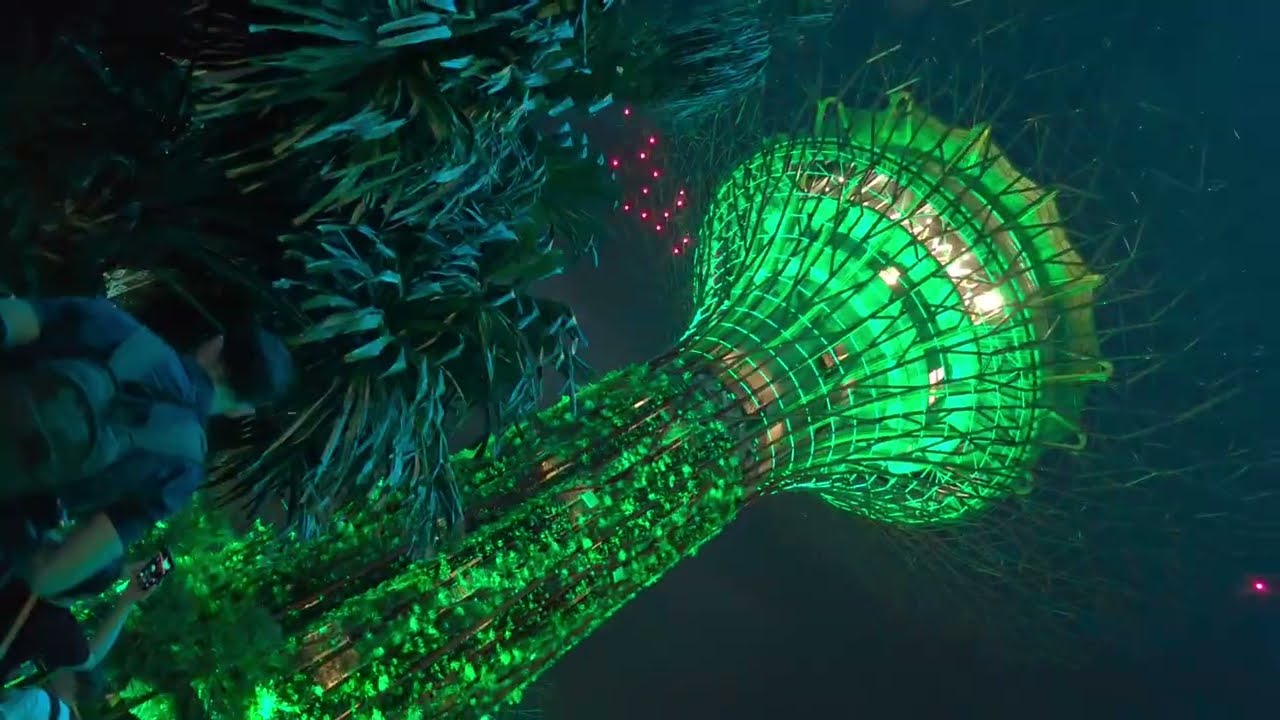 Singapore Water&Light Show - Gardens By The Bay Light Show