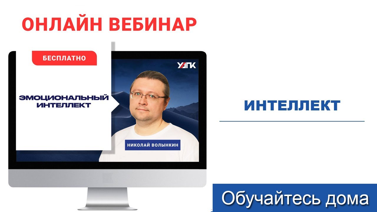 Эмоциональный интеллект (Николай Волынкин)