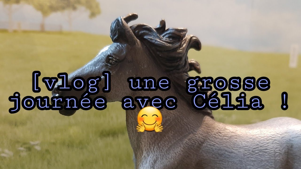 [VLOG] Une journée bien chargée avec Celia !😊| vidéo schleich🐴🐎