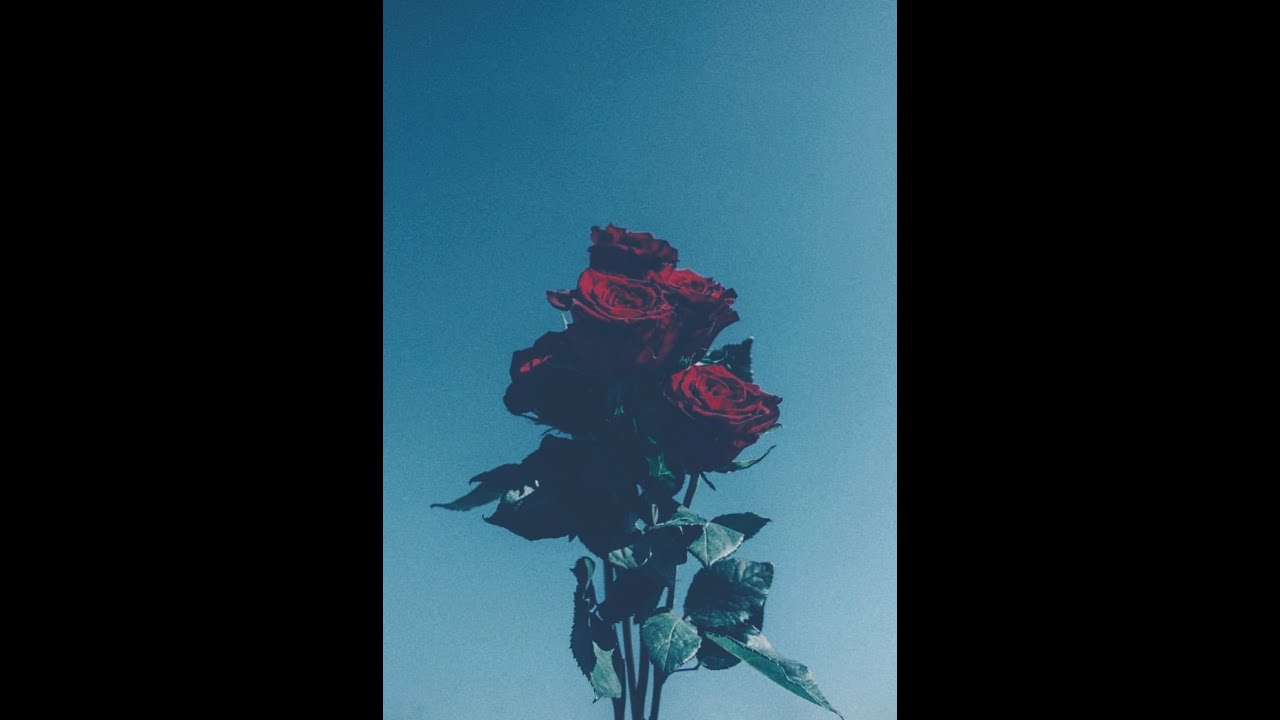 [FREE] untiljapan x sosocamo x Clams Casino Type Beat "INTERLUDE 2" (prod.oson x dtybeatz)