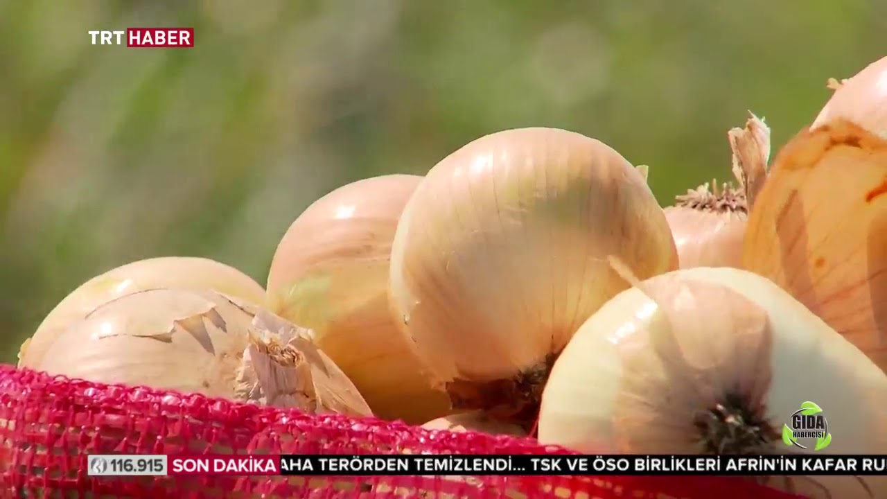 Gıda Habercisi 26. Bölüm - Gıda İsrafı