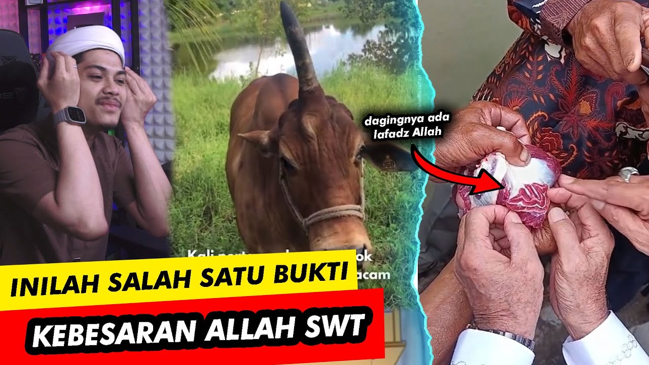 MEME SPESIAL LEBARAN IDUL ADHA DAN QURBAN🗿🗿🗿Reaction TikTok