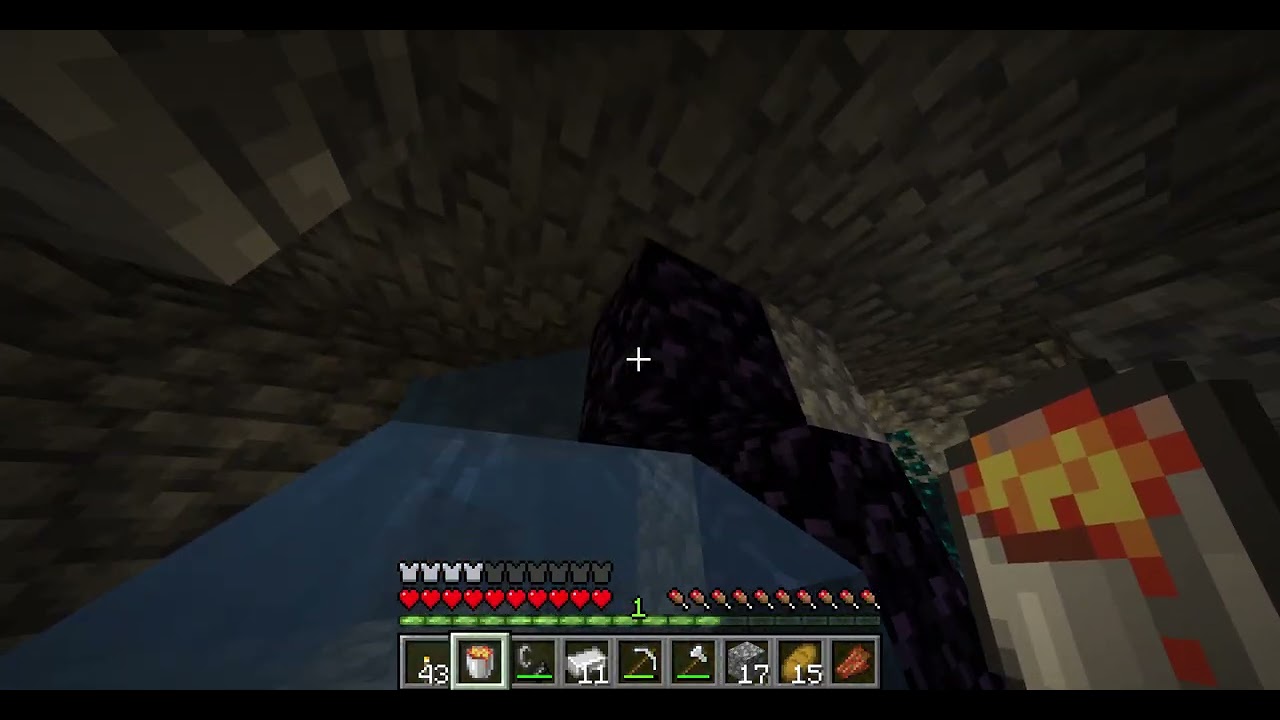 How noob in minecraft come to nether😮#minecraft #newvideo #kids #noob