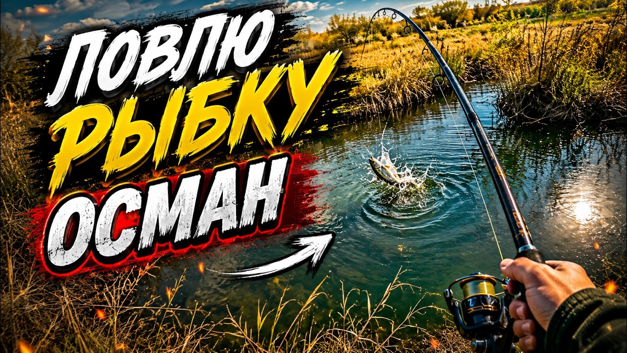 Прогулка по реке – Осман снова на Крючке #ловляосмана #2024 #осман #fishing #top #1k #рыбалка