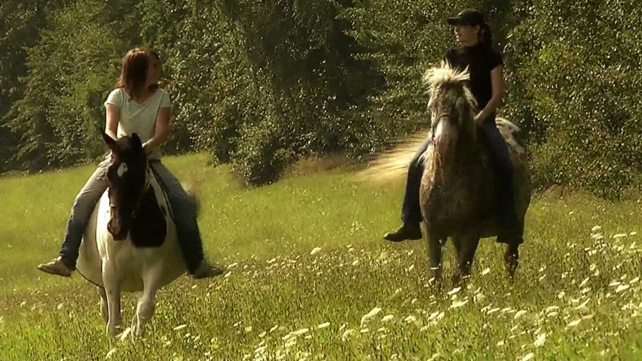 RYBÍ - promo video 2012