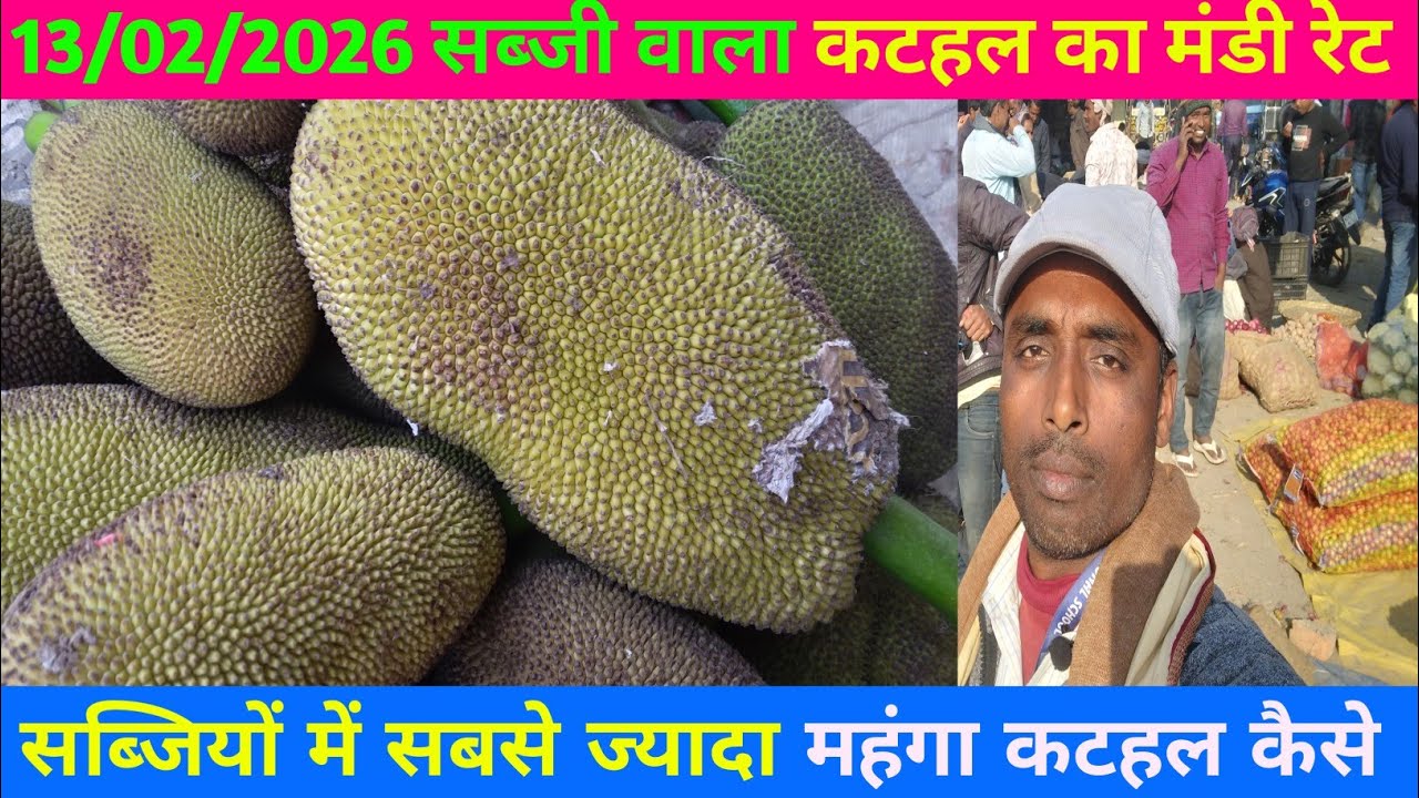 मंडी मे सभी सब्जी से ज्यादा महंगा कटहल और कैसे बिक्री हुआ जाने | jackfruit price | #vegetables 