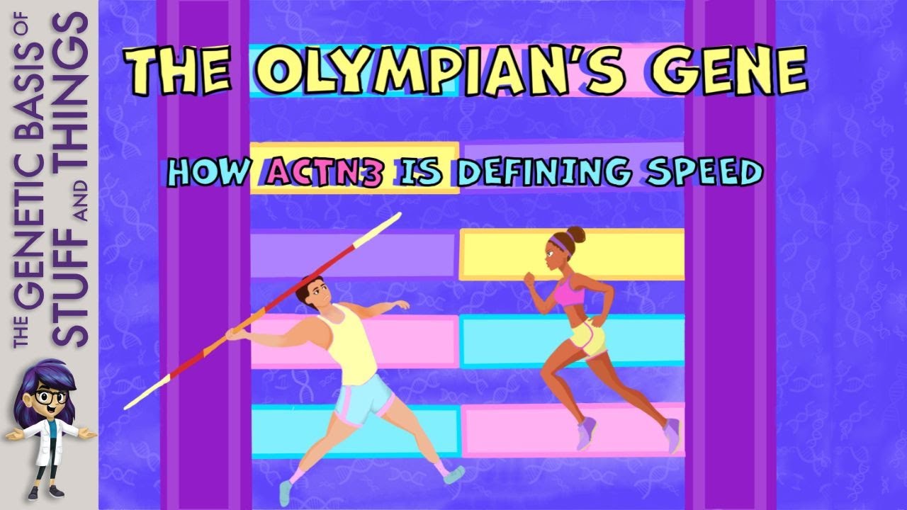 Science of speed: ACTN3 in elite athletic performance