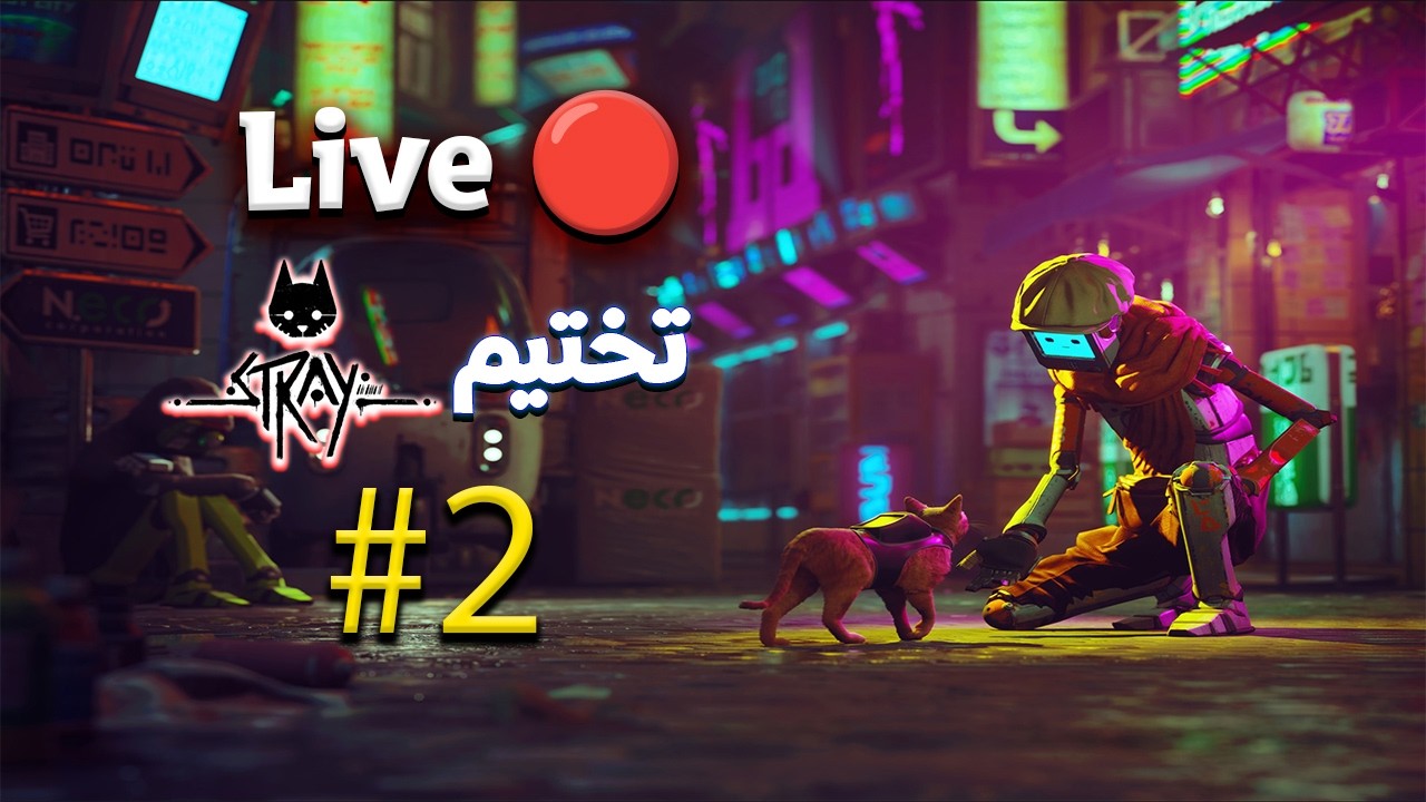 تختيم القط الضال stray مترجمة