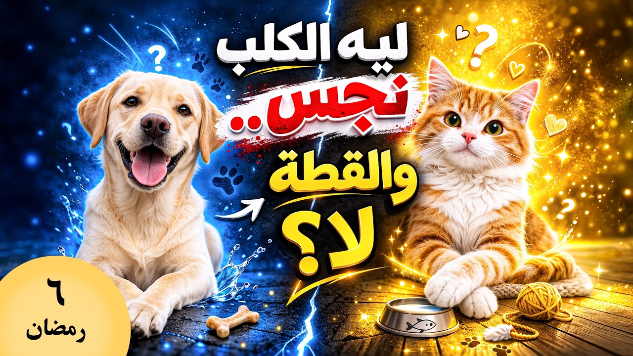 الكلب أطهر مما نظن؟ - 6 رمضان | وعي في آية